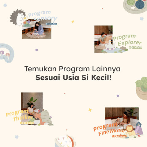 Program Investigator 25 - 30 Bulan