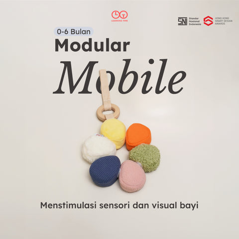 Modular Mobile